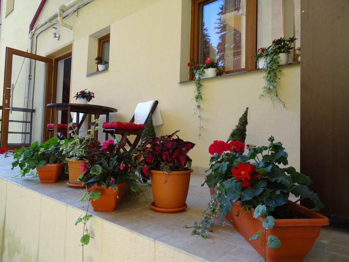 Apartamento Alpin